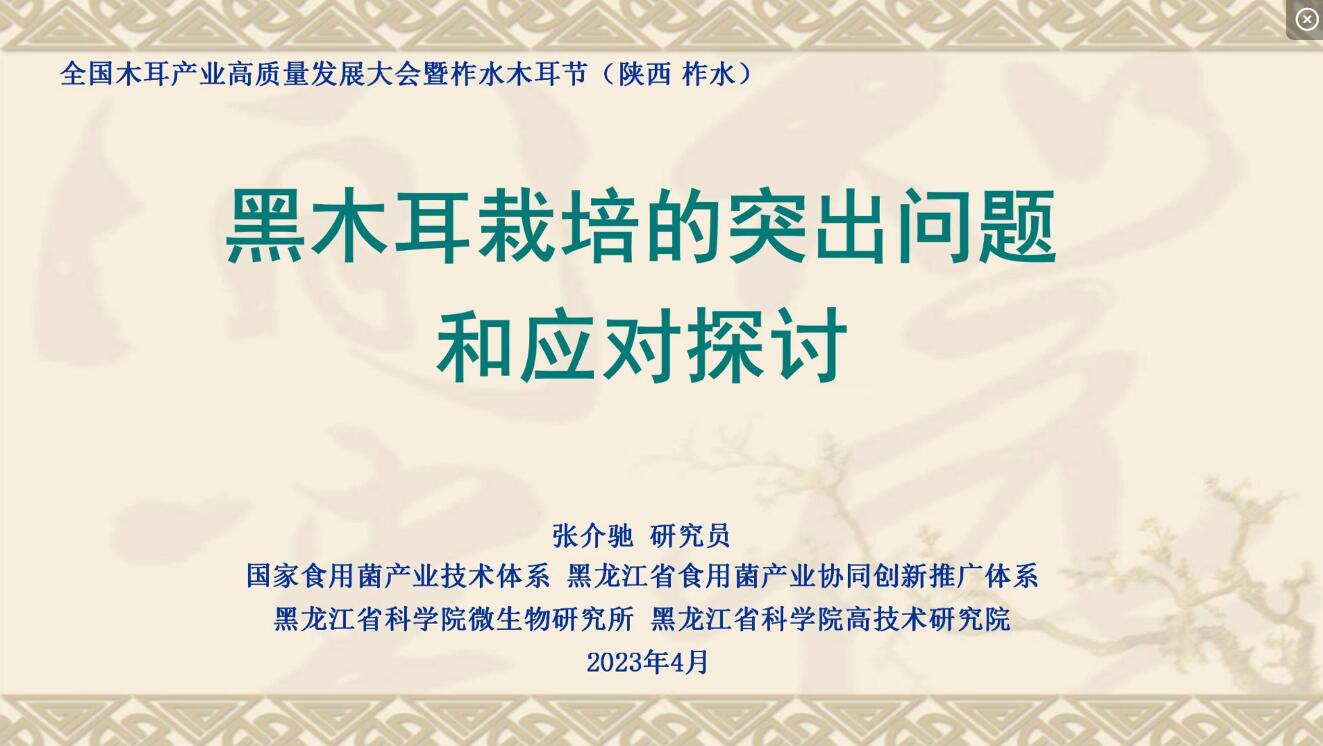 黑木耳栽培中突出問(wèn)題及應(yīng)對(duì)探討-張介馳
