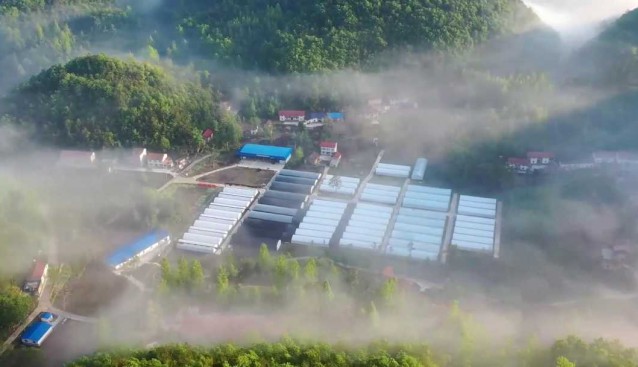 力爭突破2000萬元銷售額，南漳裕農(nóng)菌業(yè)沖刺“開門紅”