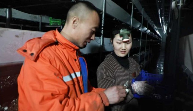錦泰科技生物：智能化四季出菇房產銷兩旺
