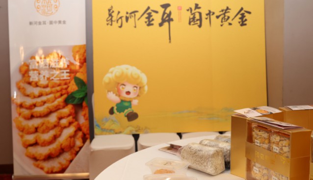 河北新河：培育“新河金耳”品牌影響力