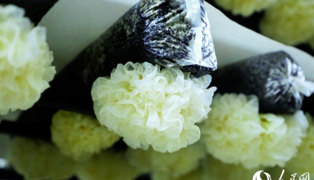 銀耳太空遨游后，增產(chǎn)超一成