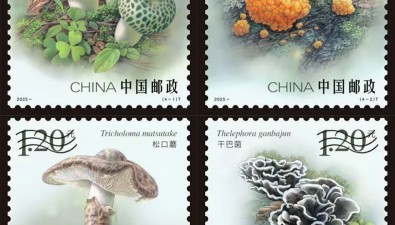 7月12日發(fā)行！《食用菌（第二組）》郵票一套4枚，圖稿公布
