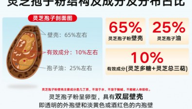 去壁 vs 破壁靈芝孢子粉：從藥動(dòng)學(xué)角度看吸收優(yōu)勢(shì)