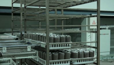 貴州聚福菌：運用智能化技術，構建現(xiàn)代農業(yè)生產體系