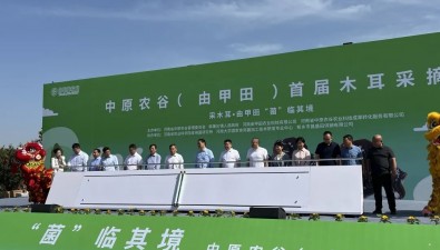 “菌”韻悠長(zhǎng)！中原農(nóng)谷韓董莊鎮(zhèn)（由甲田）首屆木耳采摘節(jié)開幕