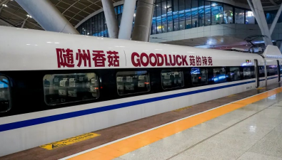 冠名高鐵專列！隨州香菇搭乘“中國(guó)速度”香飄四海