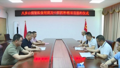 總投資5000萬元，食用菌及中草藥種植項目簽約落地