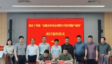 億元項(xiàng)目啟新程！安徽蕭縣丁里鎮(zhèn)食用菌產(chǎn)業(yè)園項(xiàng)目簽約