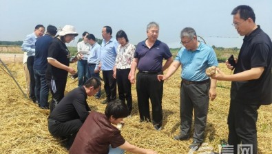 糧菇共生，黃淮海地區(qū)“糧菇輪作”現(xiàn)場(chǎng)觀摩會(huì)在青島舉行