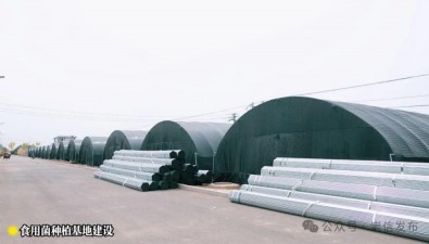 甘肅崇信縣食用菌種植基地建設(shè)按下“快進(jìn)鍵”
