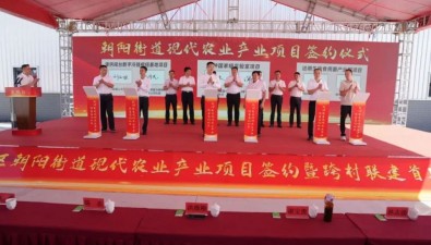 計(jì)劃投資3.23億元！福建漳州朝陽(yáng)街道簽約食用菌項(xiàng)目