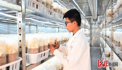 河北新河：5G智慧艙，長(zhǎng)出珍稀食用菌
