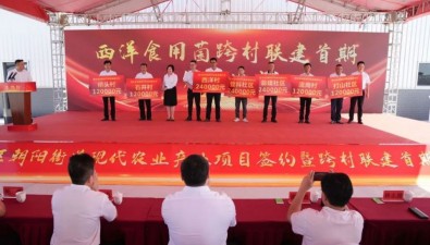 福建漳州7個村共建食用菌產業(yè)基地，首期獲分紅120萬元