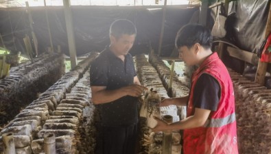 人保財(cái)險(xiǎn)創(chuàng)新推出商業(yè)性食用菌完全成本保險(xiǎn)