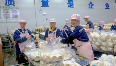 重慶萬盛：發(fā)展蘑菇產(chǎn)業(yè)，實現(xiàn)農(nóng)文旅融合