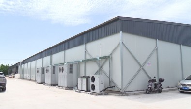上海金山區(qū)廊下鎮(zhèn)：將建設20座現(xiàn)代化菇房
