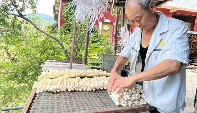 打通菌菇產(chǎn)銷通道，助農(nóng)增收