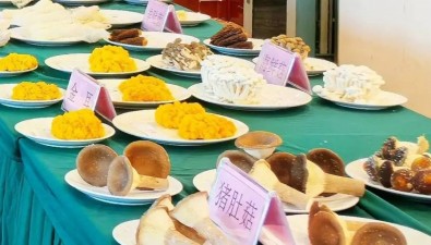 20個產品摘金！“2025浙江好菌菇”名單揭曉