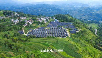 貴州道真平模社區(qū)：“小菌菇”撬動(dòng)“大發(fā)展”