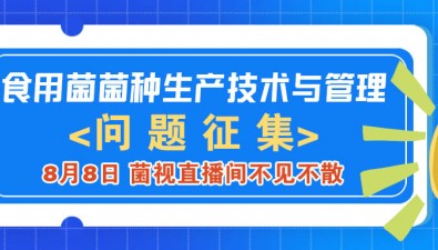 【問題征集】“食用菌菌種生產(chǎn)技術(shù)與管理”直播訪談，8月8日破解菌種行業(yè)痛點(diǎn)