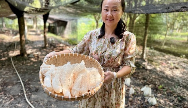成都雙流林下套種竹蓀、靈芝首獲成功