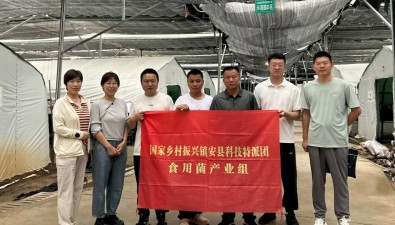 國(guó)家科技特派團(tuán)食用菌產(chǎn)業(yè)組赴鎮(zhèn)安縣“把脈”食用菌產(chǎn)業(yè)