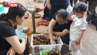 云南木水花野生菌交易中心迎來產(chǎn)銷旺季