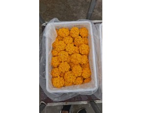 金耳菇供應(yīng)