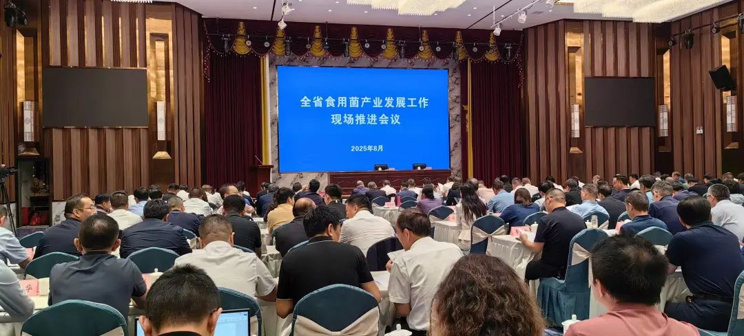云南省食用菌產(chǎn)業(yè)發(fā)展工作現(xiàn)場推進(jìn)會召開