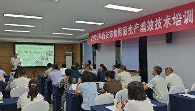 陜西西安：推廣食用菌增效新技術(shù)，助農(nóng)增產(chǎn)增收