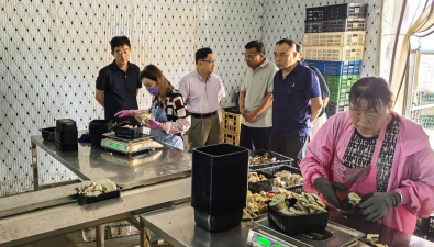 寧夏吳忠市利通區(qū)高閘鎮(zhèn)菌菇產(chǎn)值超850萬(wàn)元