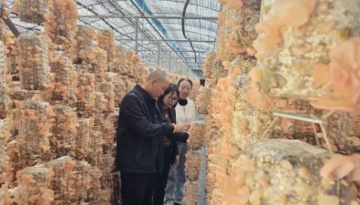 甘肅渭源：東西協(xié)作助力菌業(yè)振興