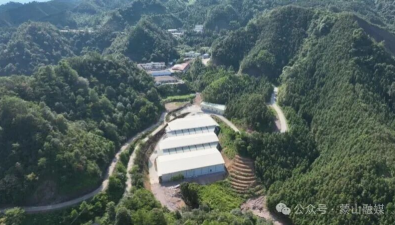 廣西蒙山縣：食藥用菌基地9月中旬二期廠房啟用
